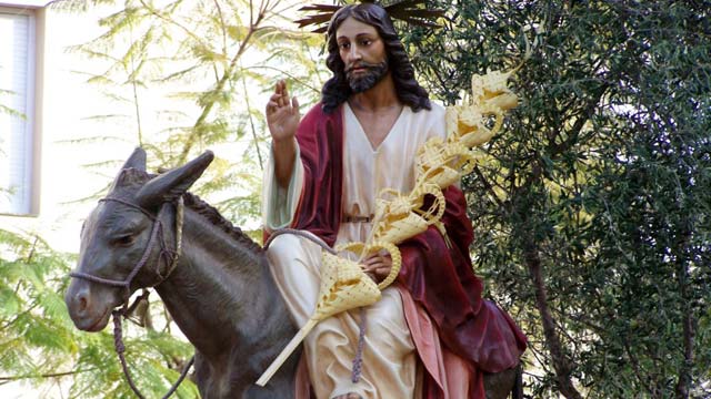 semana santa malaga-domingo ramos