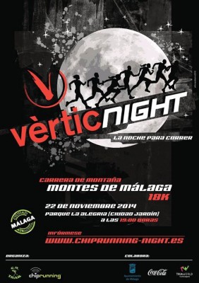 Cartel Vértic Night Málaga 2014