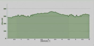 Perfil Carrera de las Aguas Istán 2015