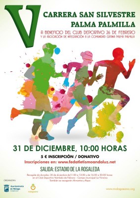 Cartel San Silvestre Palma Palmilla 2015