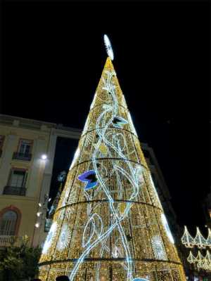 Árbol de Navidad en Plaza de la Constitución 2019