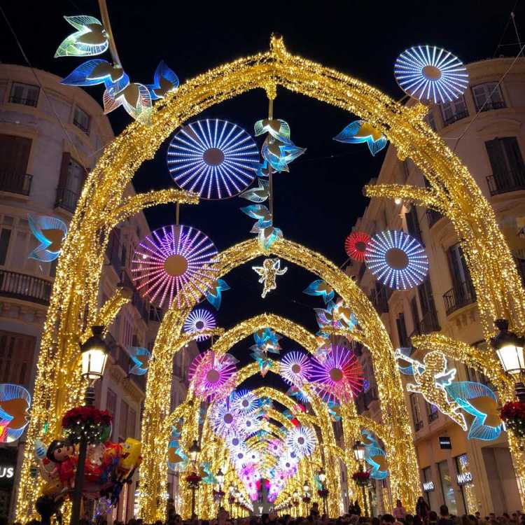 El Bosque Encantado. Iluminación de Navidad en calle Larios