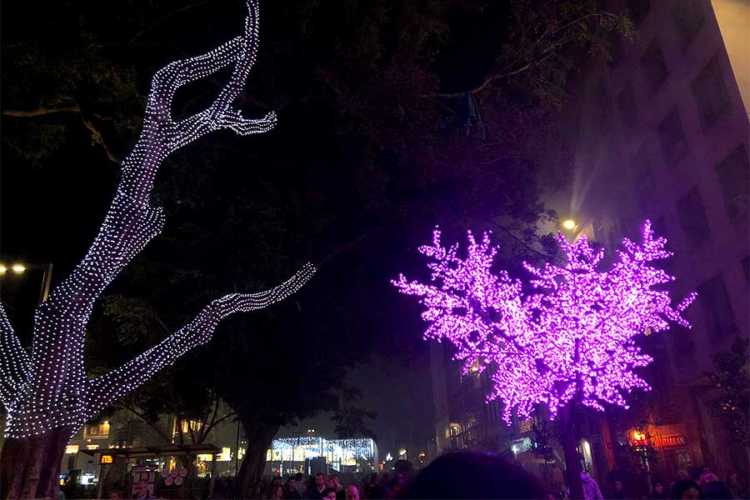Iluminación navideña en la Alameda de Málaga. Almendro luminoso
